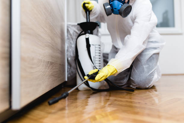 Best Local Pest Control Services  in Glasgow, MO