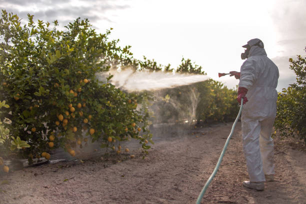 Best Termite Control Services  in Glasgow, MO
