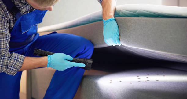 Best Emergency Pest Control  in Glasgow, MO