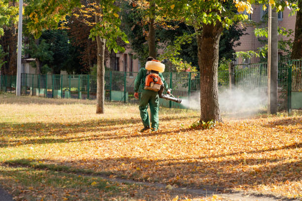 Wasp Removal Services in Glasgow, MO