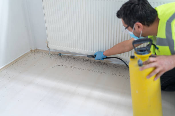 Best Pest Removal Services  in Glasgow, MO