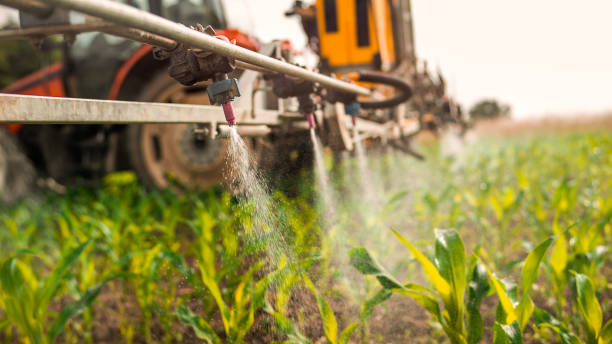 Best Mosquito Control Services  in Glasgow, MO